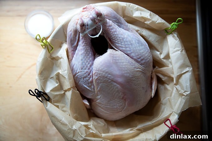 Placing the turkey into a large brining bag.