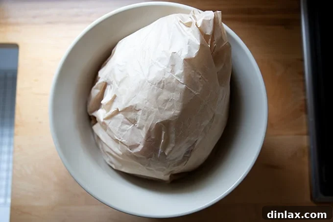Sealed turkey in a bag, ready for refrigeration and brining.