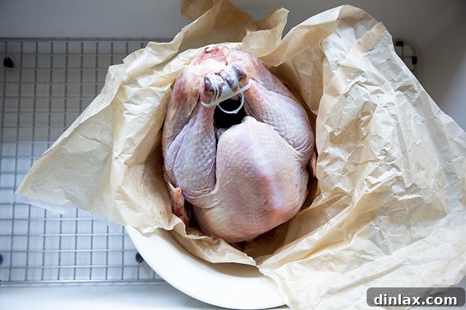 Turkey removed from the fridge, coming to room temperature before roasting.