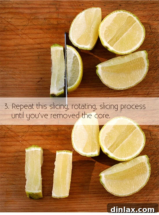cutting a lemon for garnish, step 3: slice thinly crosswise cutting a lemon for garnish, step 3: slicing the lemon halves crosswise