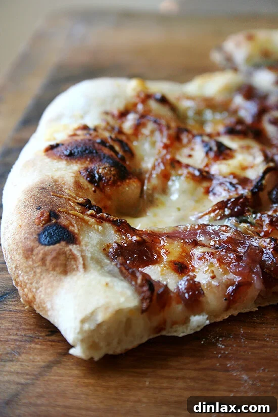 Delicious fig jam, caramelized onion, and blue cheese pizza with a perfectly blistered crust, baked on a Baking Steel.