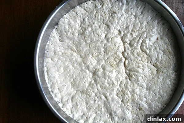 Pizza dough rising, showcasing its increased volume and developing air pockets.