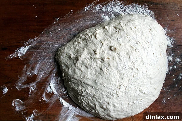 Jim Lahey's no-knead pizza dough, fully risen and ready to be divided into portions.