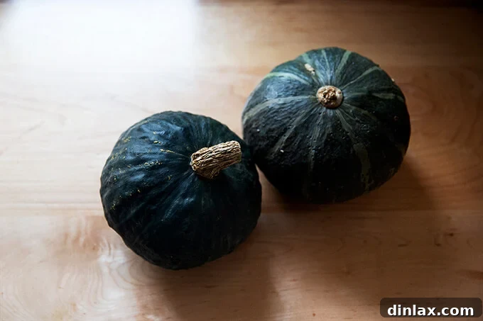 Two Kabocha squash on a countertop.