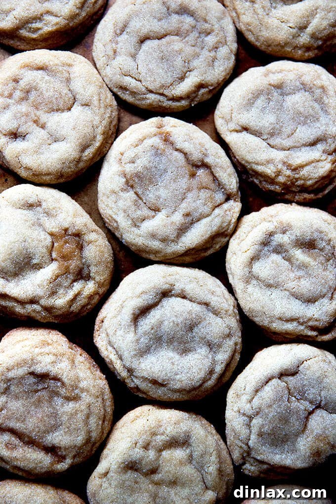 Bake Up the Perfect Gift: Margaret Roach's Top 5 New Book Picks 3 Delicious brown sugar cookies from Sarah Kieffer's cookbook, 100 Cookies.