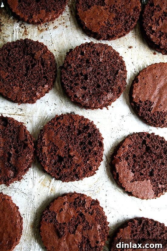 Silky Butterscotch Budino Delight 3 Several butterscotch budino ice cream sandwiches lined up, showcasing the delicious frozen dessert.