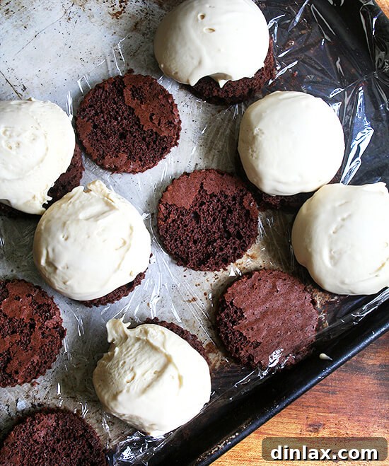 Sandwiches, Ready to Be Topped Partially assembled ice cream sandwiches, with bottom cookies ready for a scoop of ice cream.