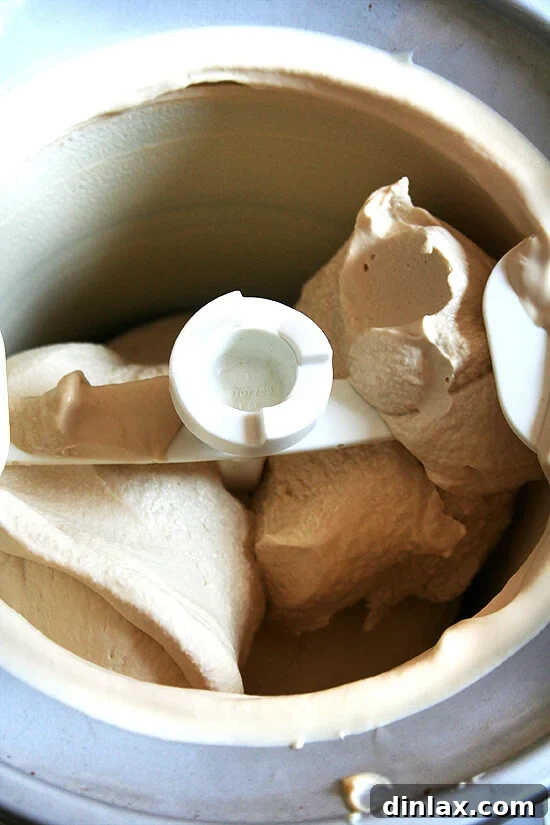 Ice Cream Maker in Action High-quality ice cream maker churning a smooth, creamy butterscotch budino ice cream base.