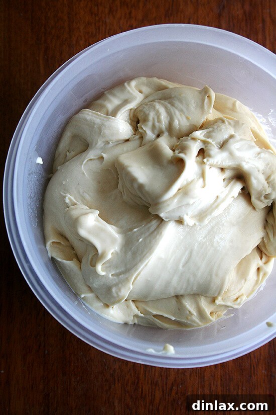 Butterscotch Budino Ice Cream A scoop of homemade butterscotch budino ice cream, showcasing its rich caramel color and creamy texture.