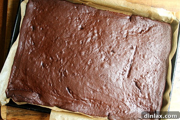 Baked Cookie Sheet Freshly baked soft chocolate cookie sheet, perfectly golden brown and ready for cooling.