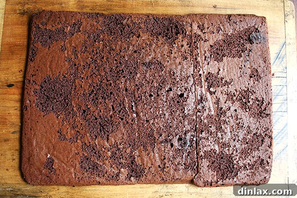Soft Chocolate Cookie, Ready to Be Cut A sheet of soft chocolate cookie, just out of the oven and ready to be cut into sandwich shapes.
