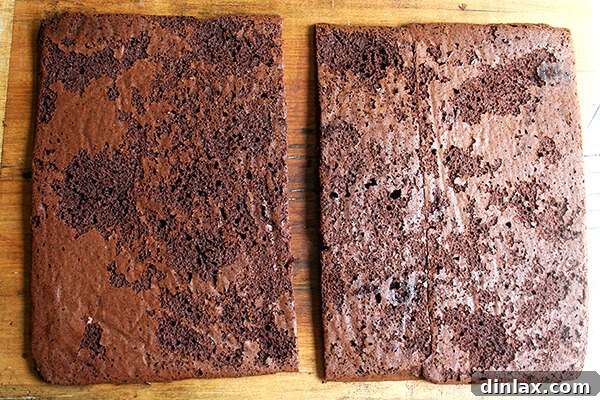 Cookie Cut in Half A soft chocolate cookie carefully cut in half, showing its tender interior.