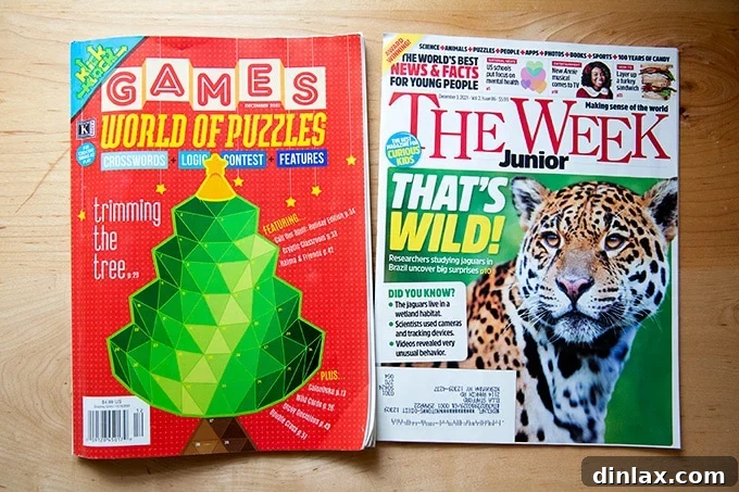 The 2021 Holiday Gift Edit 37 Two engaging children's magazines, 'Games World of Puzzles' and 'The Week Junior', on a counter.