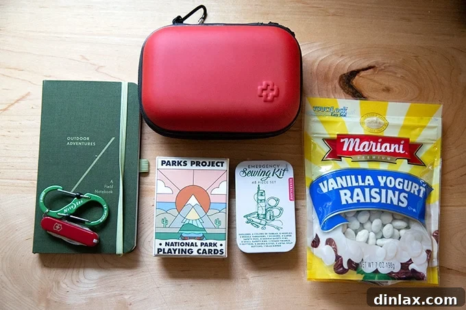 The 2021 Holiday Gift Edit 39 A collection of camping essentials for kids, including a notebook, first aid kit, and playing cards.