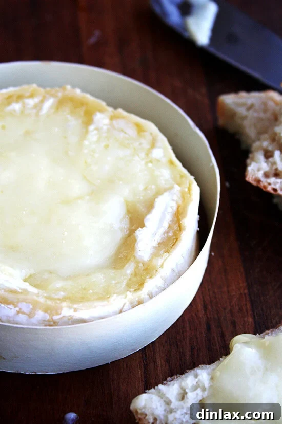 New Year's Eve Party Bites and Sips 4 A wheel of perfectly baked Camembert cheese, ready to be enjoyed.