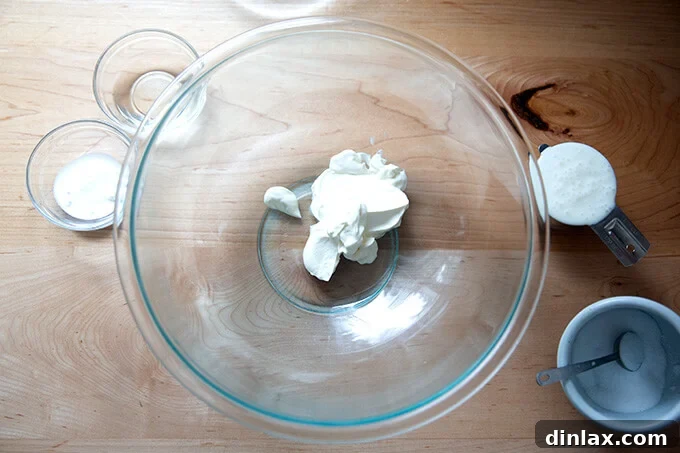 Ingredients for the creamy dressing: sour cream, buttermilk, vinegar, sugar, and salt, ready to be whisked.