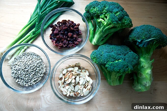 Array of fresh ingredients including broccoli, quinoa, nuts, and dried cranberries for broccoli salad on a kitchen countertop.