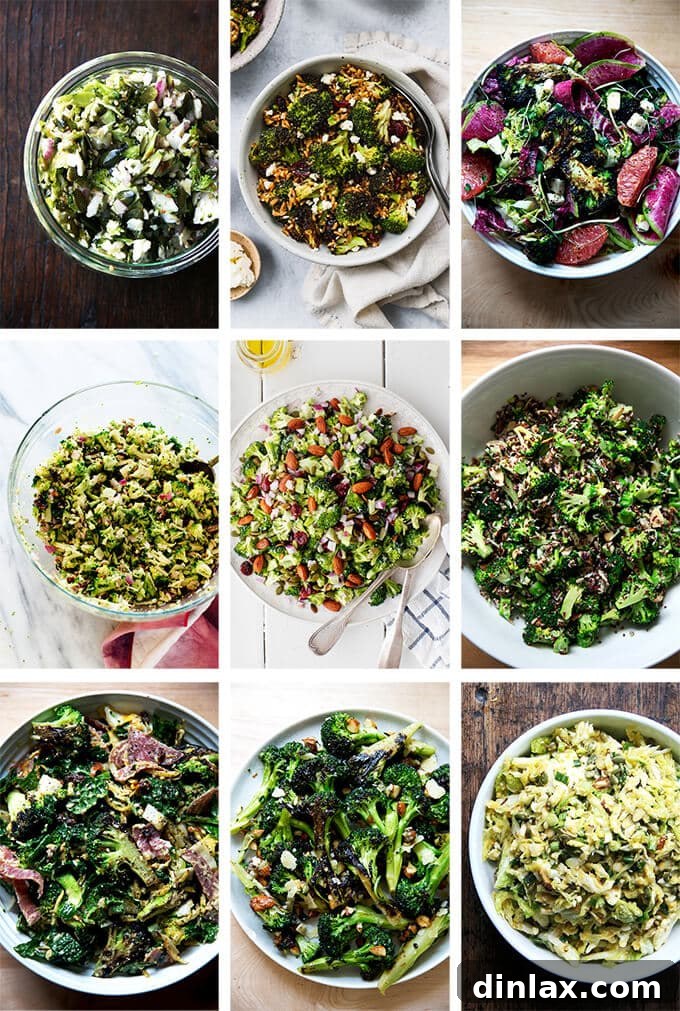 A vibrant montage of various broccoli salads, showcasing different preparations and ingredients.