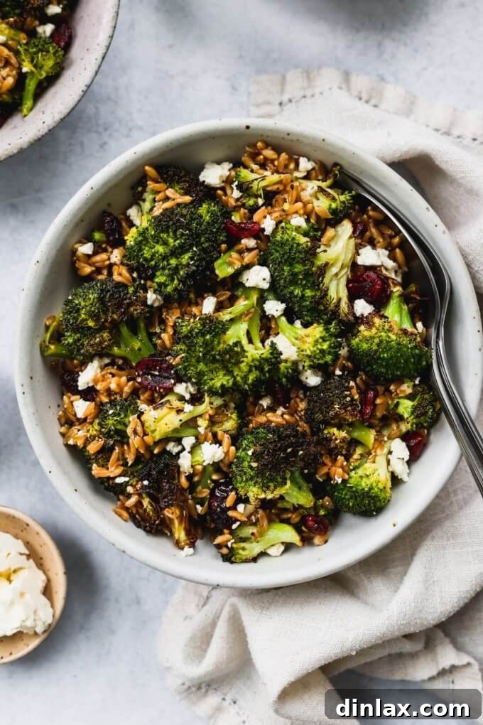 A beautifully composed roasted broccoli salad, featuring cranberries, farro, and feta cheese, served in a clean, modern bowl.