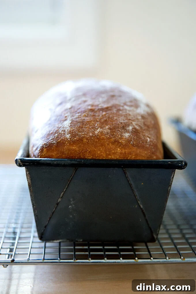 A loaf of freshly baked brioche in its loaf pan on a cooling rack.