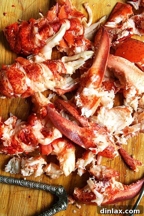 Cooked lobster meat, expertly removed from the shell and chopped, ready for making lobster rolls.