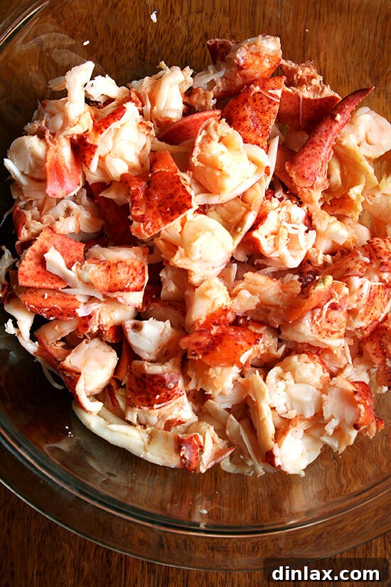 Close-up of succulent lobster meat, freshly cooked and prepared for the rolls.