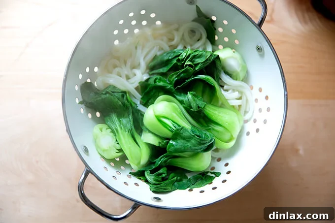 Udon: A Culinary Revelation 9 Steaming hot udon noodles and bok choy freshly drained in a colander, ready for assembly into a delicious noodle bowl.
