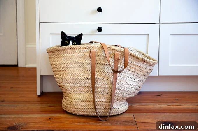 A stylish straw Moroccan tote bag with a playful cat inside, a unique Mother's Day gift.
