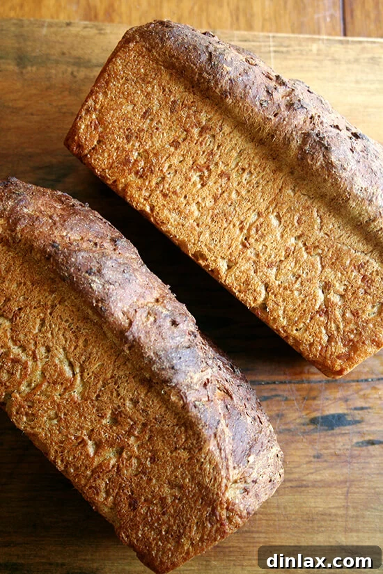 Two perfectly baked loaves of no-knead oatmeal toasting bread.