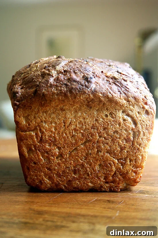 A single baked loaf of no-knead oatmeal bread, ready to cool and slice.