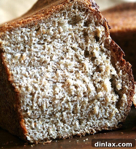 A slice of delicious no-knead oatmeal bread, perfect for toast.