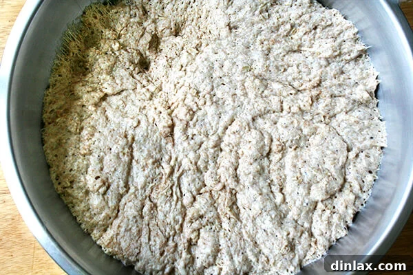 Oatmeal bread dough, beautifully risen and doubled in bulk.