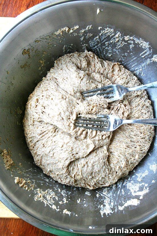 Punching down the risen no-knead oatmeal bread dough.