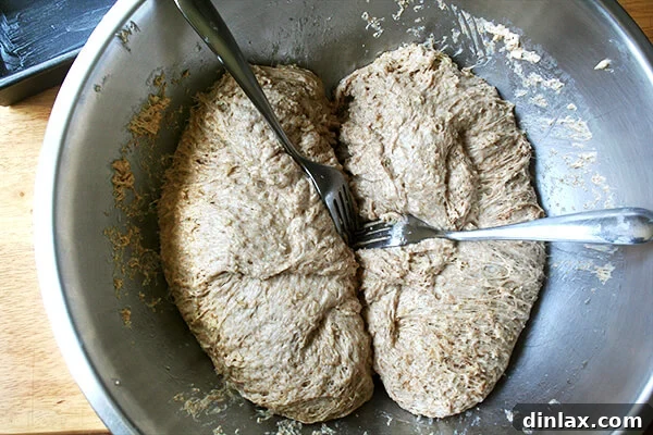 Splitting the no-knead oatmeal bread dough into two equal portions for baking.