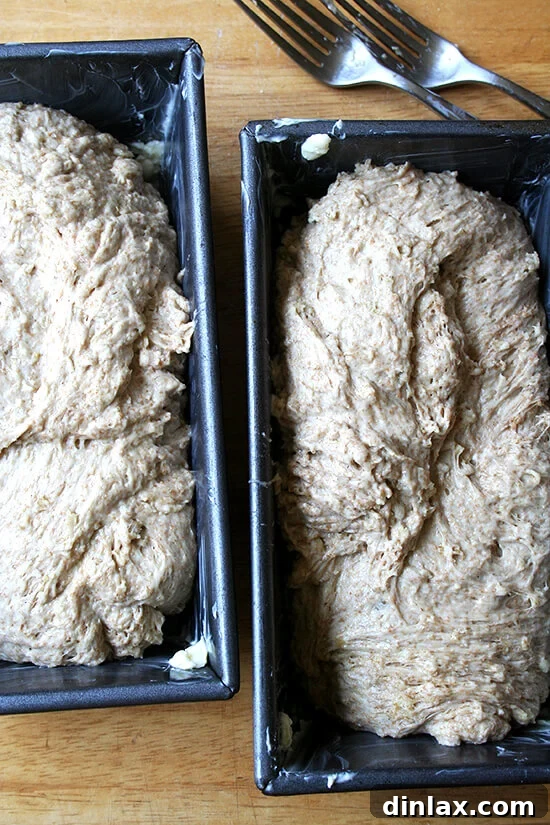 Loaves of no-knead oatmeal bread dough in pans, ready for the second rise.