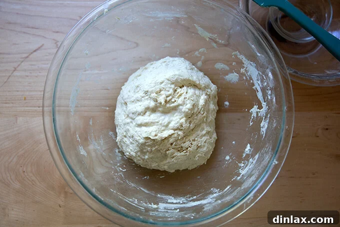 Mixed ciabatta dough in a bowl, looking wet and sticky after the initial mix.