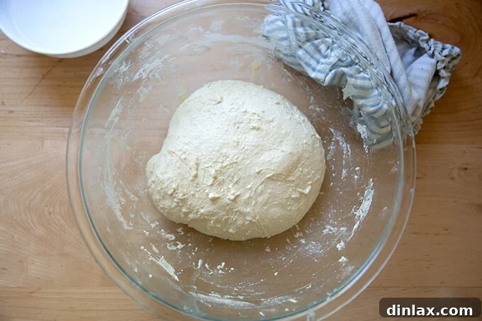 The dough after the second set of stretches and folds, showing improved structure.