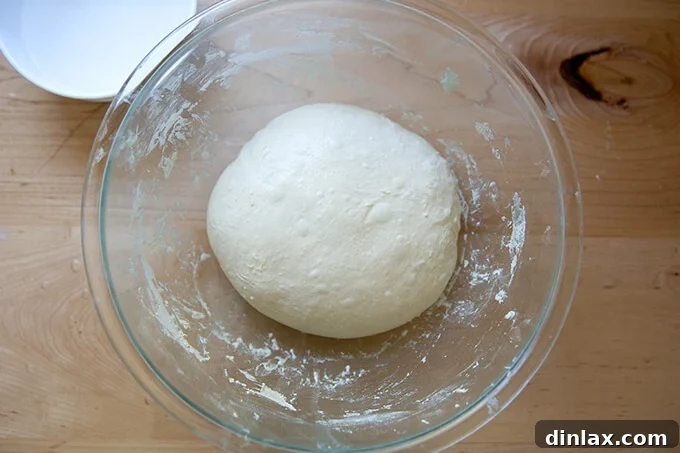 Ciabatta dough after the third set of stretches and folds, showing further development.