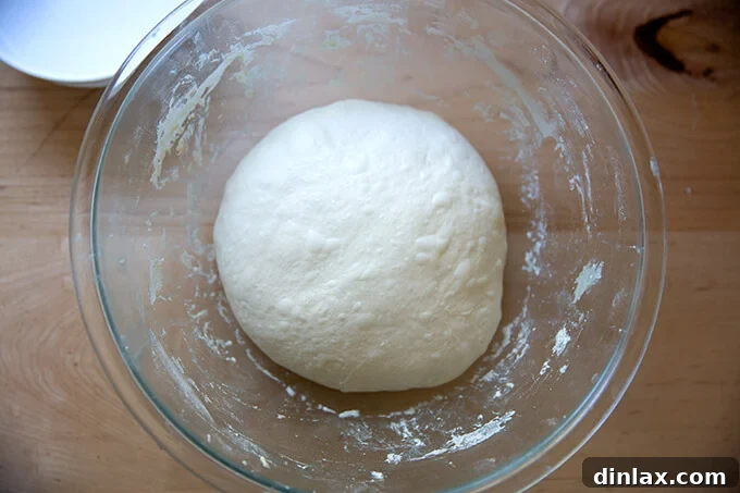 The ciabatta dough after the fourth set of stretches and folds, now smooth and elastic.