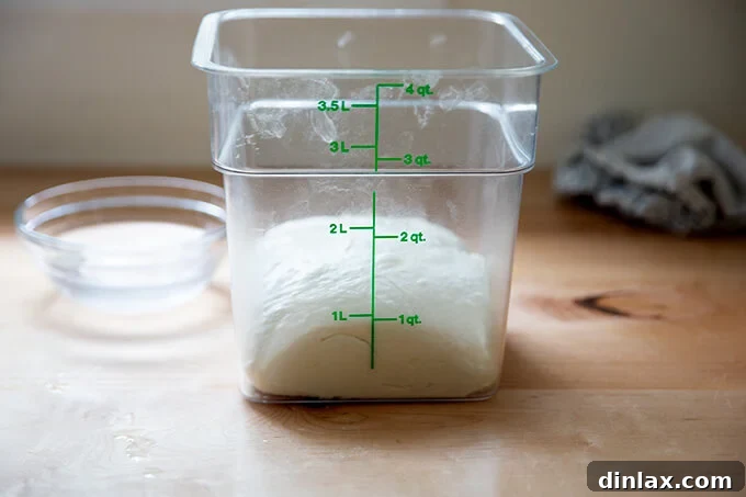 Ciabatta dough transferred to a 4-quart straight-sided container, marked and ready for its first rise.