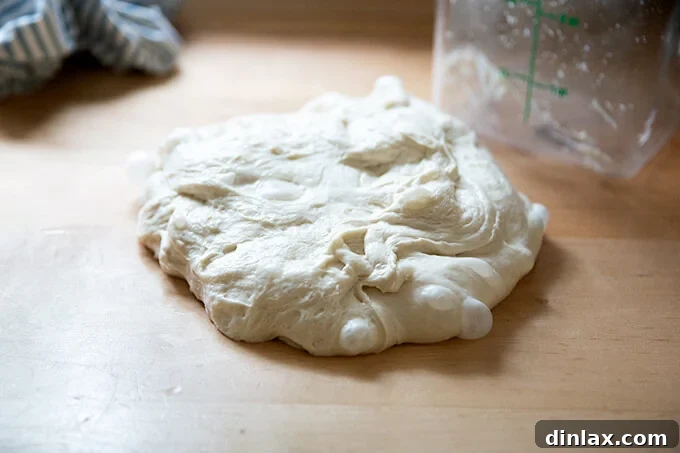 Ciabatta dough gently turned out onto a work surface after its first rise.