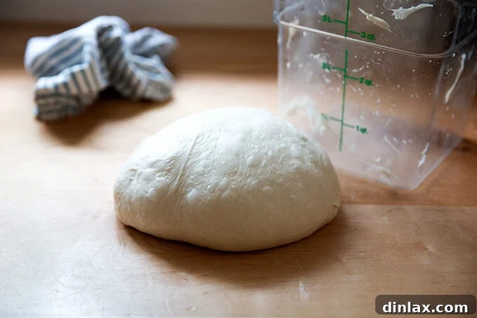 Ciabatta dough gently shaped into a round on the countertop with wet hands.