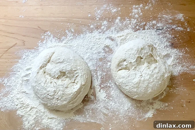 Two ciabatta dough balls resting on a heavily floured work surface, covered with a tea towel.