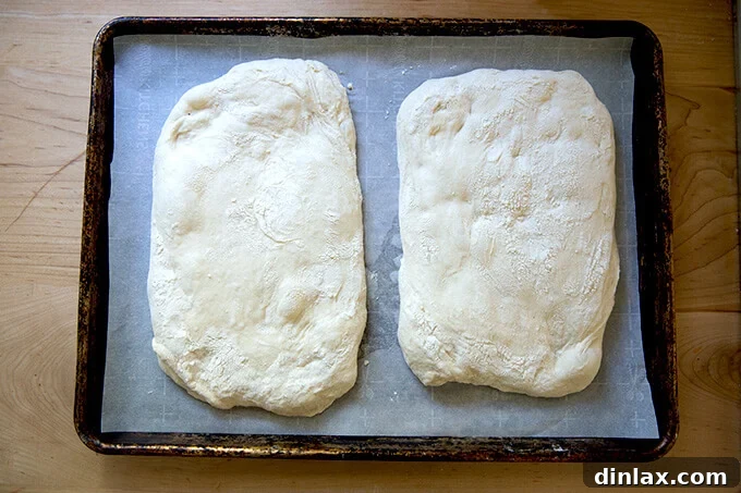 Two unbaked ciabatta loaves gently placed on a parchment-lined sheet pan.