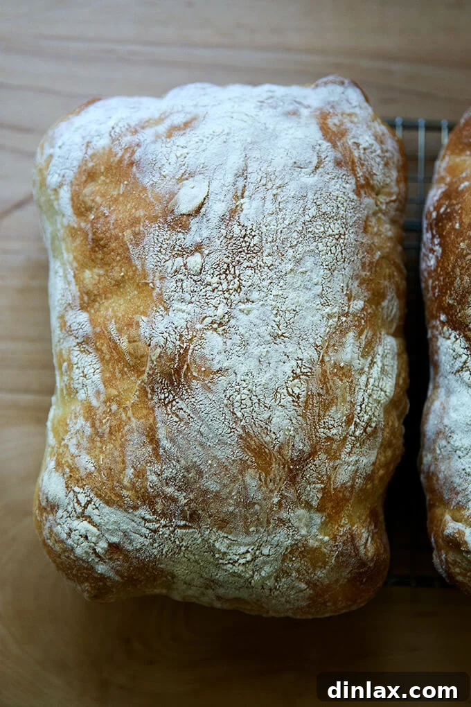 A freshly baked, golden-brown loaf of ciabatta bread resting on a cooling rack.