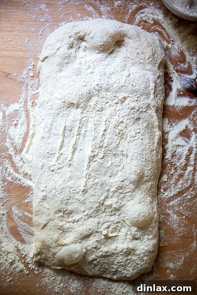 Ciabatta dough floured and gently patted into a large rectangle on the counter.