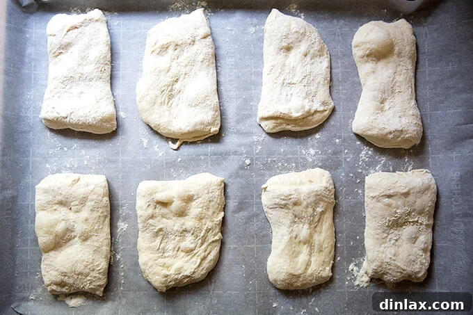 Shaped ciabatta rolls proofing on a parchment-lined sheet pan, covered with a tea towel.