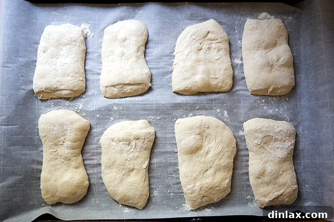 Just baked ciabatta rolls on a sheet pan, showing their golden crust and airy texture.