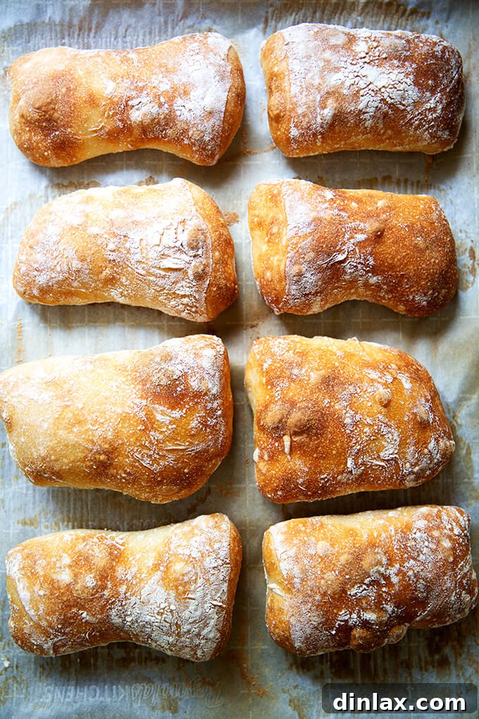 Golden-brown ciabatta rolls, fresh from the oven and still on the sheet pan.