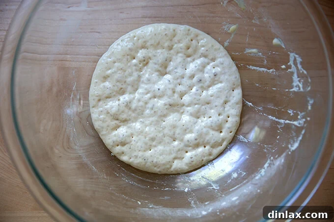 Active poolish showing a dimpled surface after fermenting for three hours, full of air bubbles.